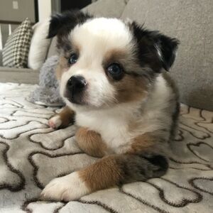 Meet your Posher, Julie